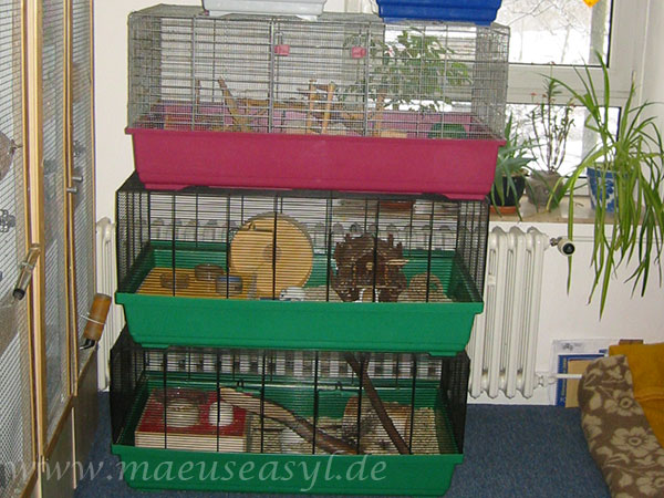 Gitterkäfige für Mäuse