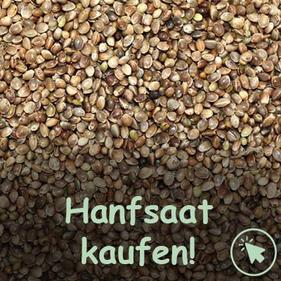 Hanfsaat kaufen