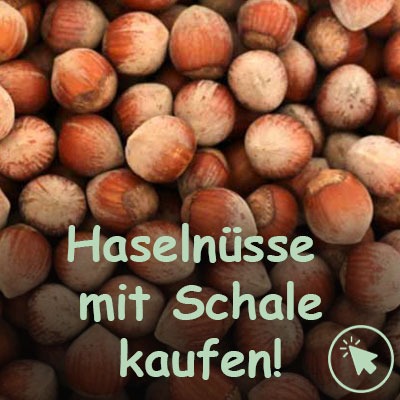 Haselnüsse mit Schale kaufen