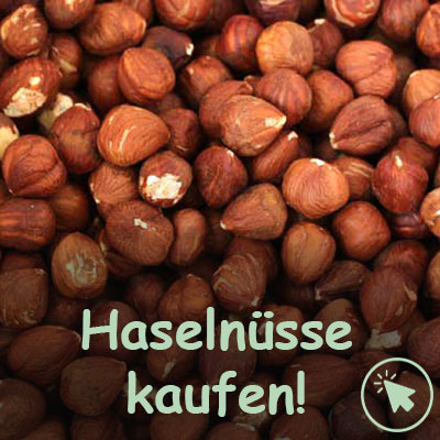 Haselnüsse kaufen